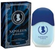 Туалетная вода Napoleon Waterloo 100мл мужская